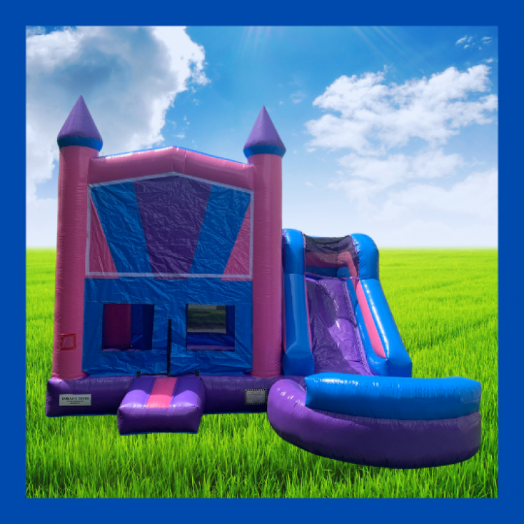 Princess A2 Bounce House And Water Slide Rental